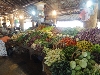 `hollndischer Markt` in Galle